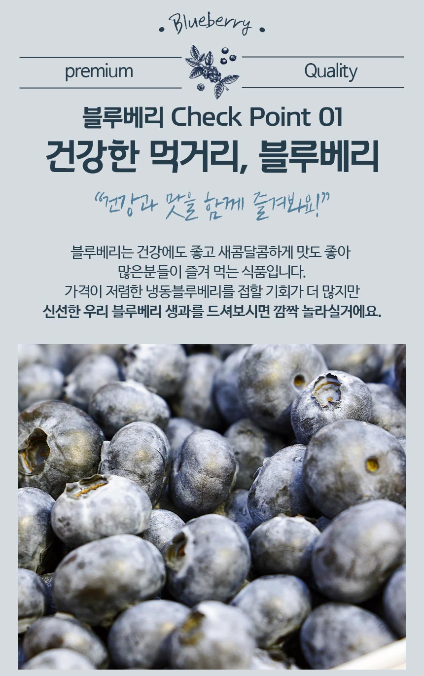 블루베리_04.jpg