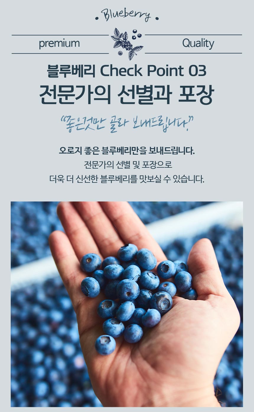 블루베리_07.jpg
