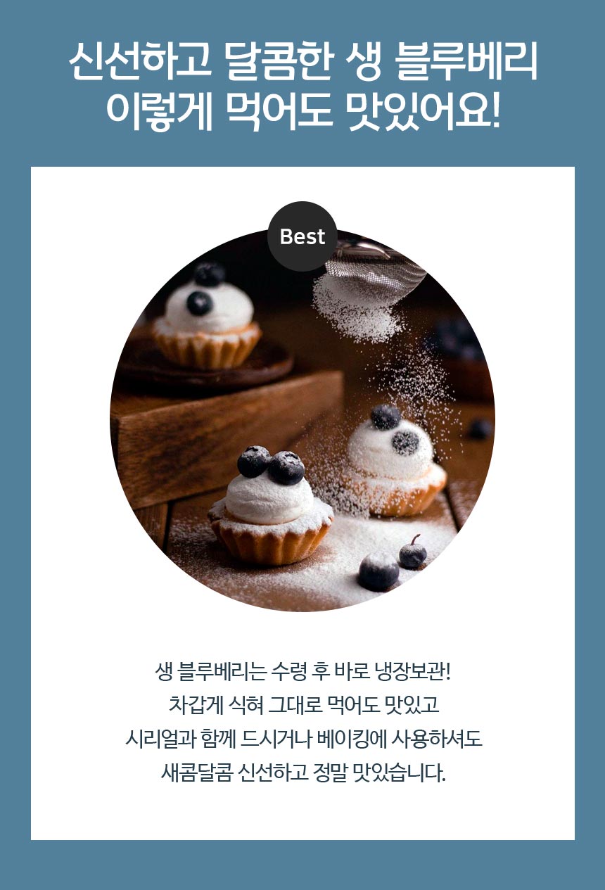 블루베리_09.jpg