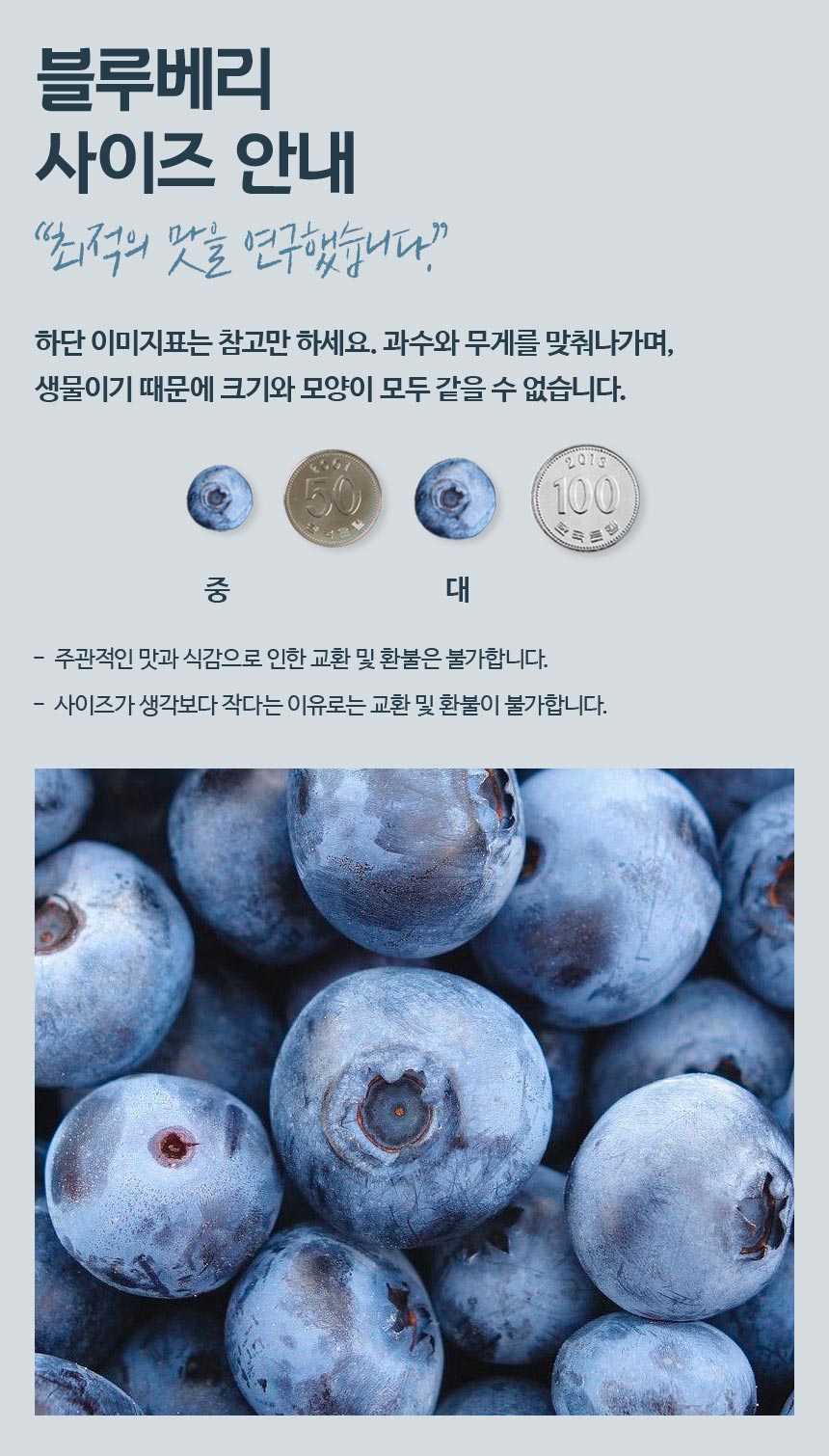 블루베리_10.jpg