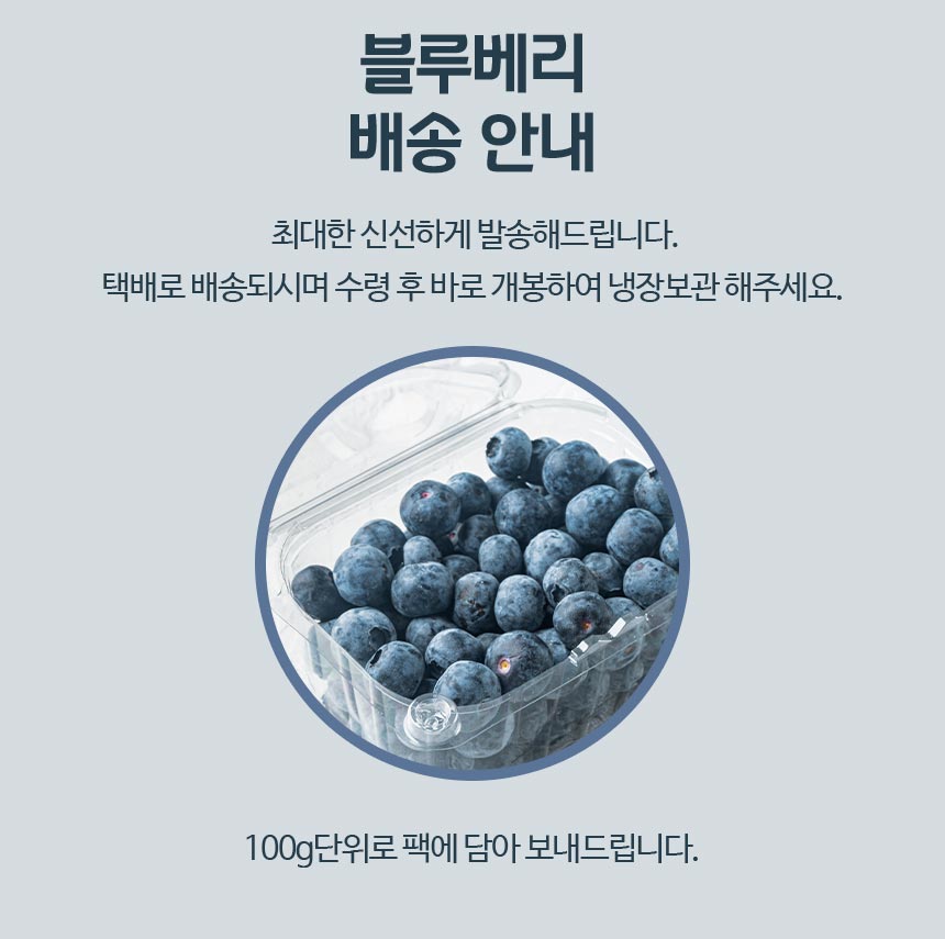 블루베리_11.jpg