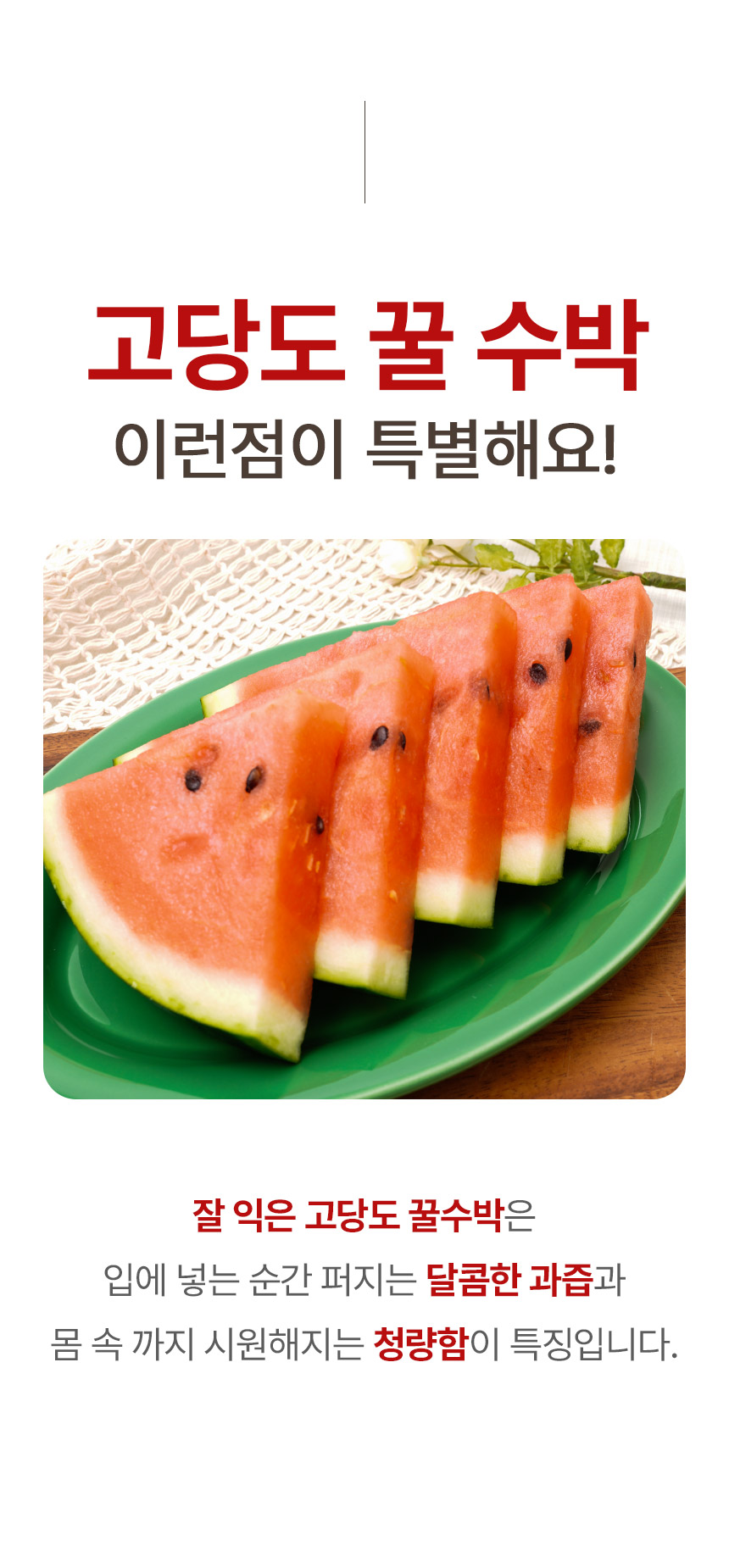 0_02.jpg