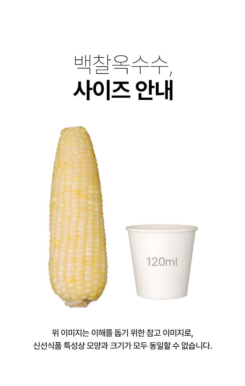 0_06.jpg