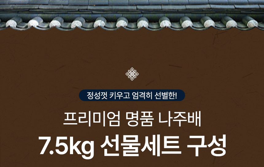 0_02.jpg