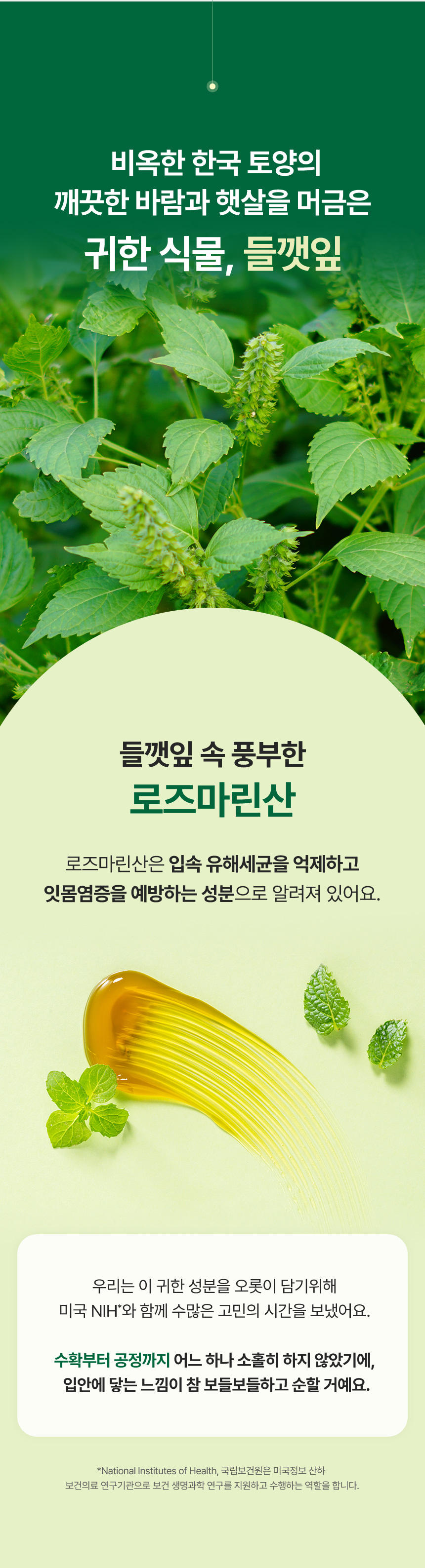 페릴라치약_상세1_04.jpg