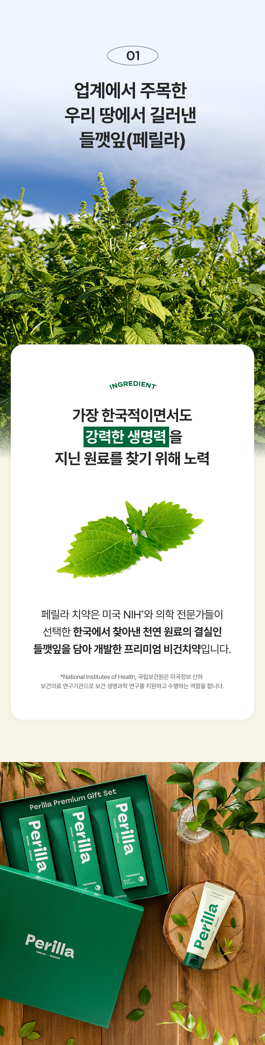 페릴라치약_상세1_07.jpg