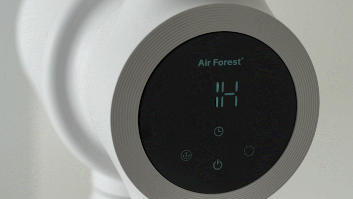 Air Forest22.gif