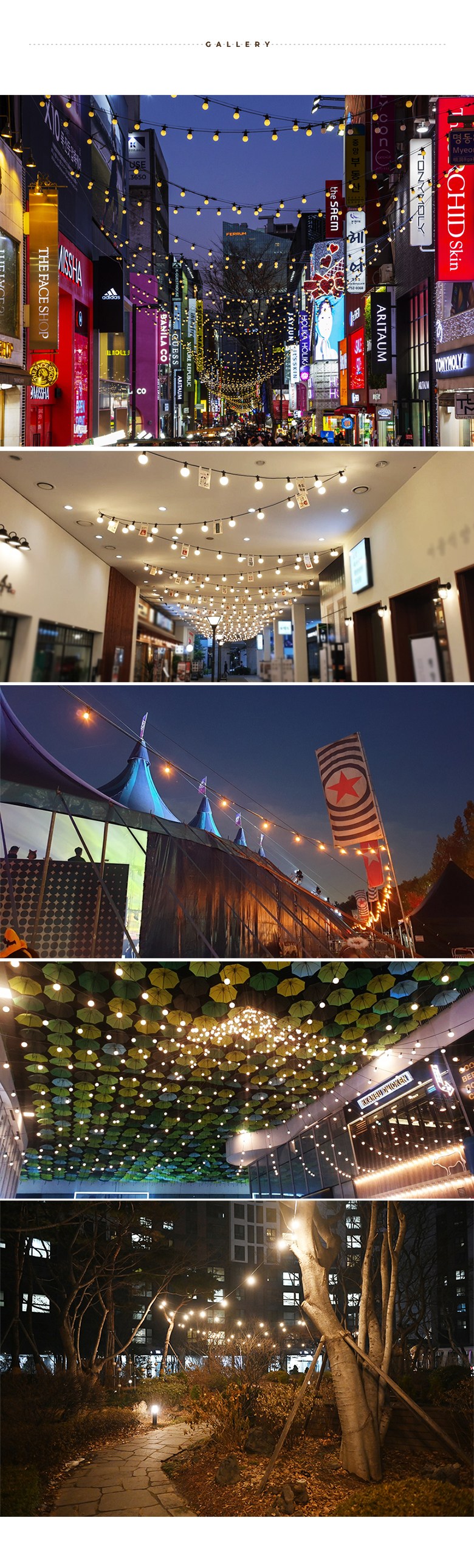 파티라이트 (6).jpg