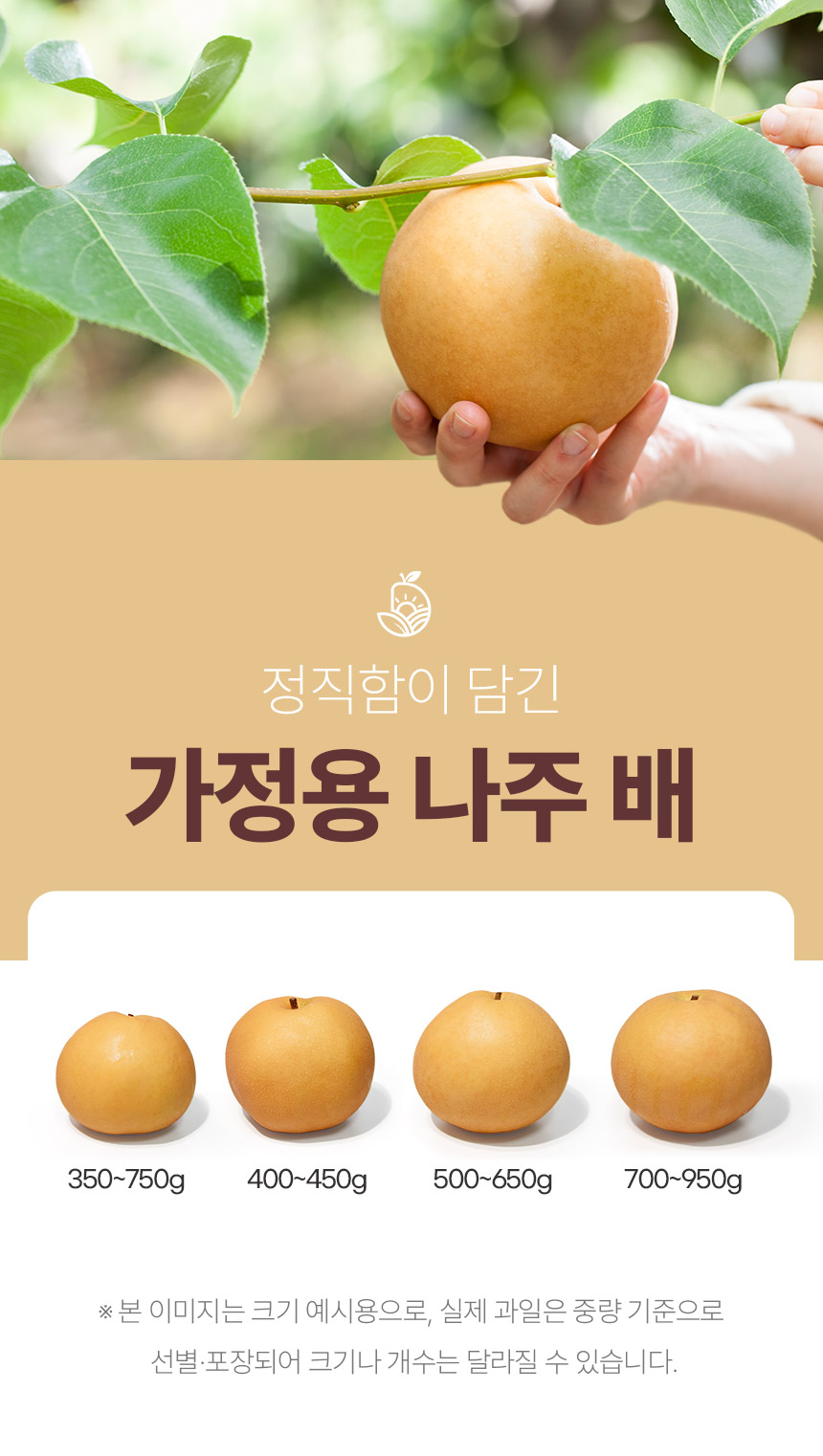 pear_003_02.jpg