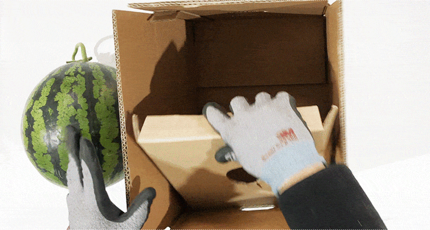 mel_003_05(gif).gif