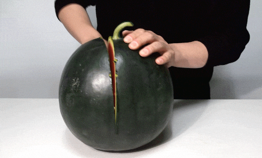mel_003_10(gif).gif
