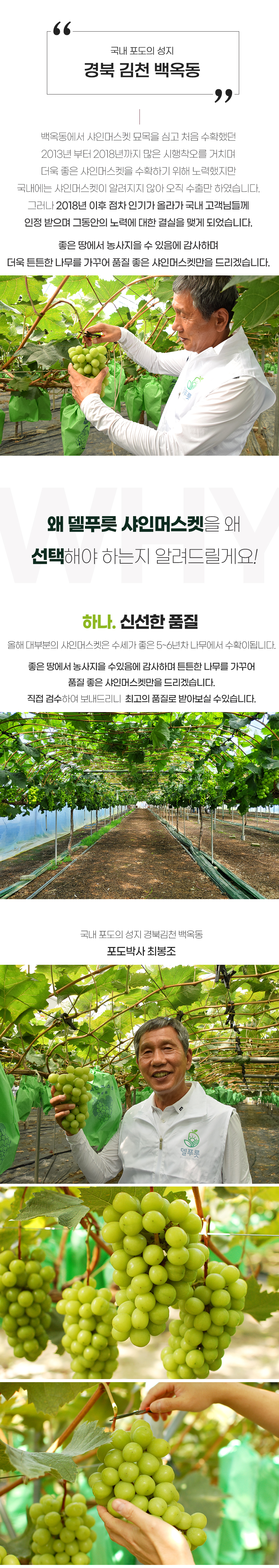 01-샤인머스켓_04.jpg