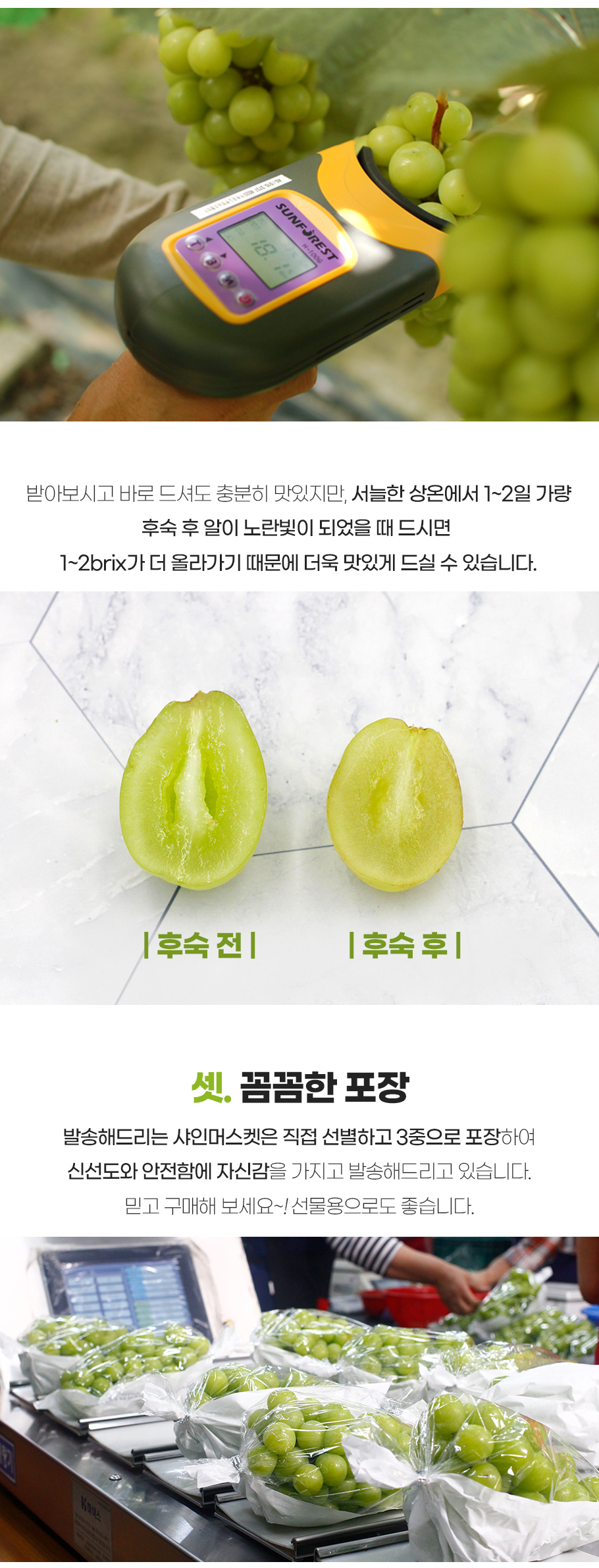 01-샤인머스켓_09.jpg
