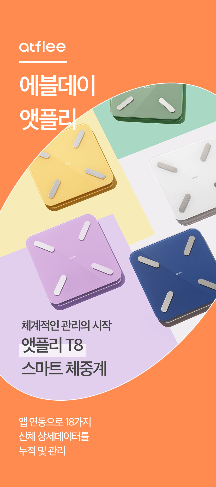 T8_01_01.jpg