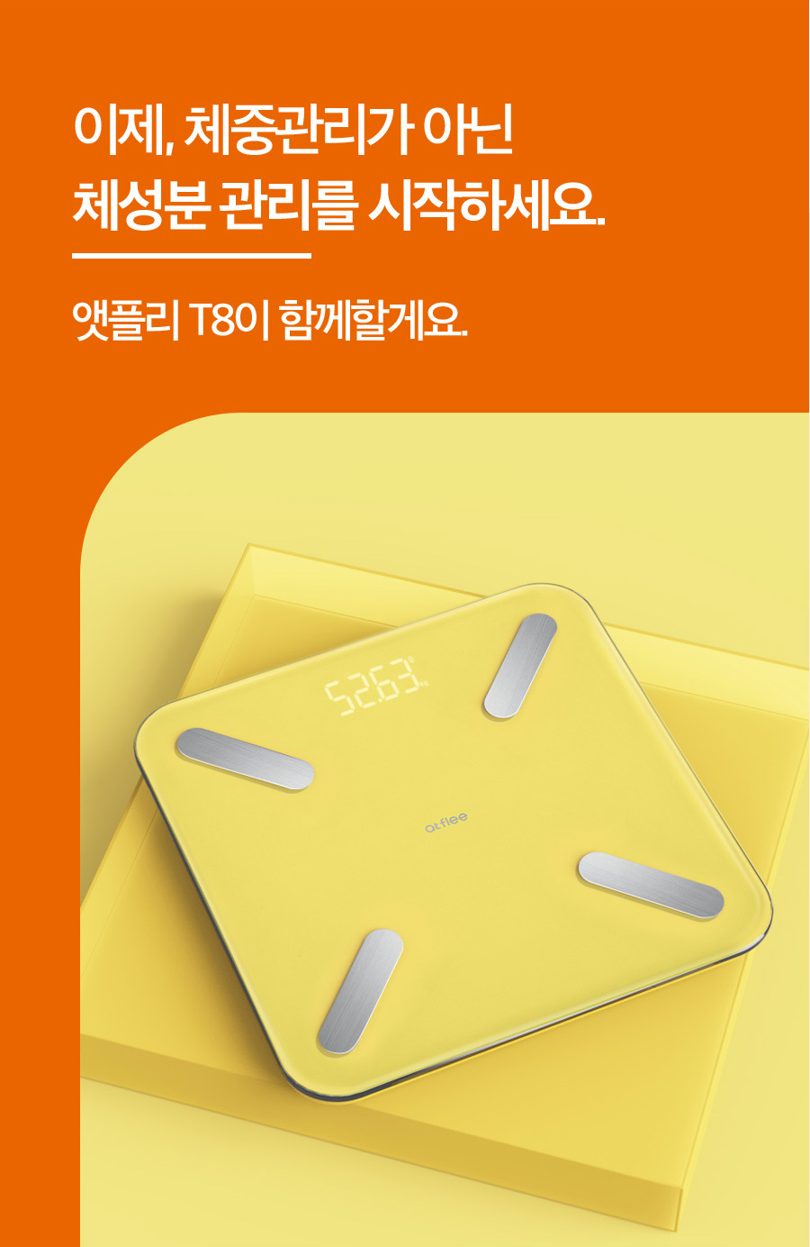 T8_05_03.jpg