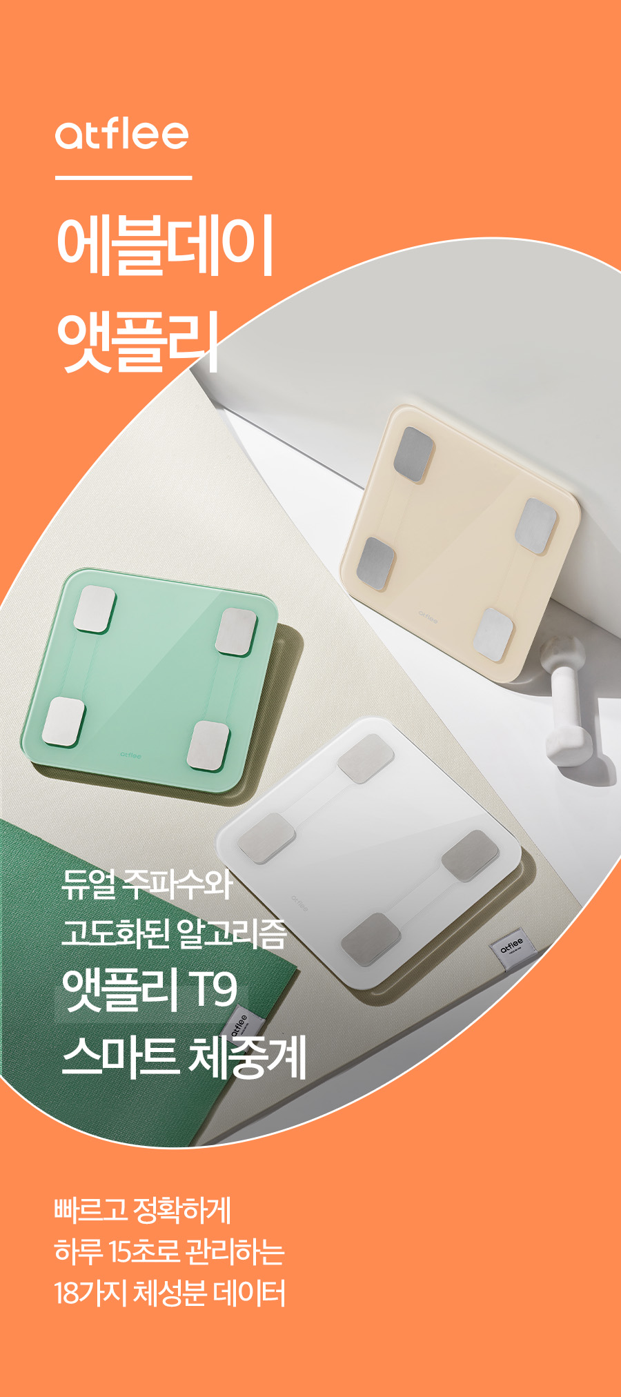 T9_01_01.jpg