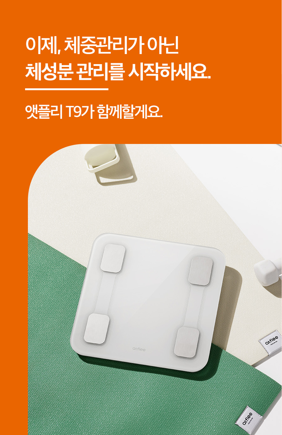 T9_05_03.jpg