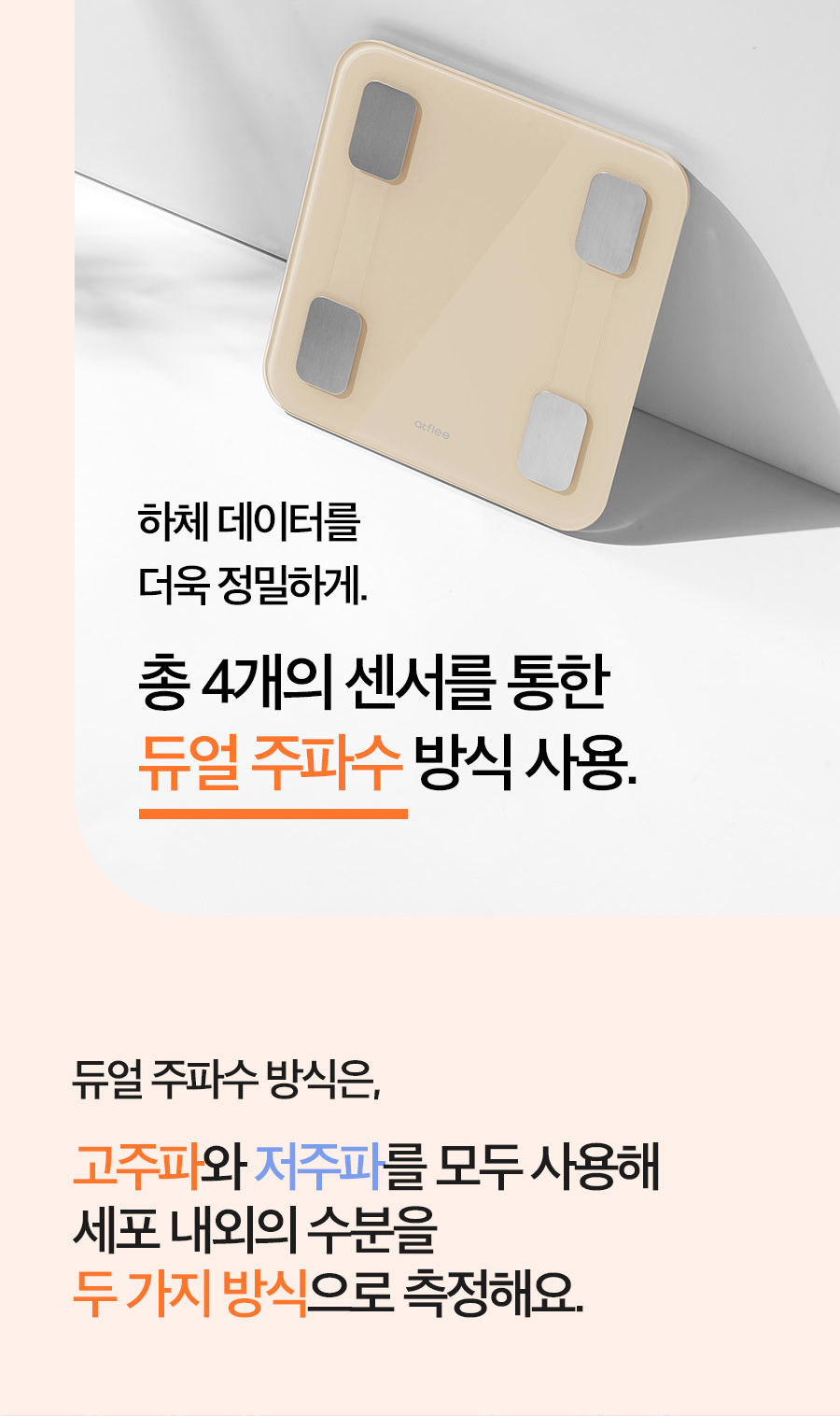T9_08_02.jpg