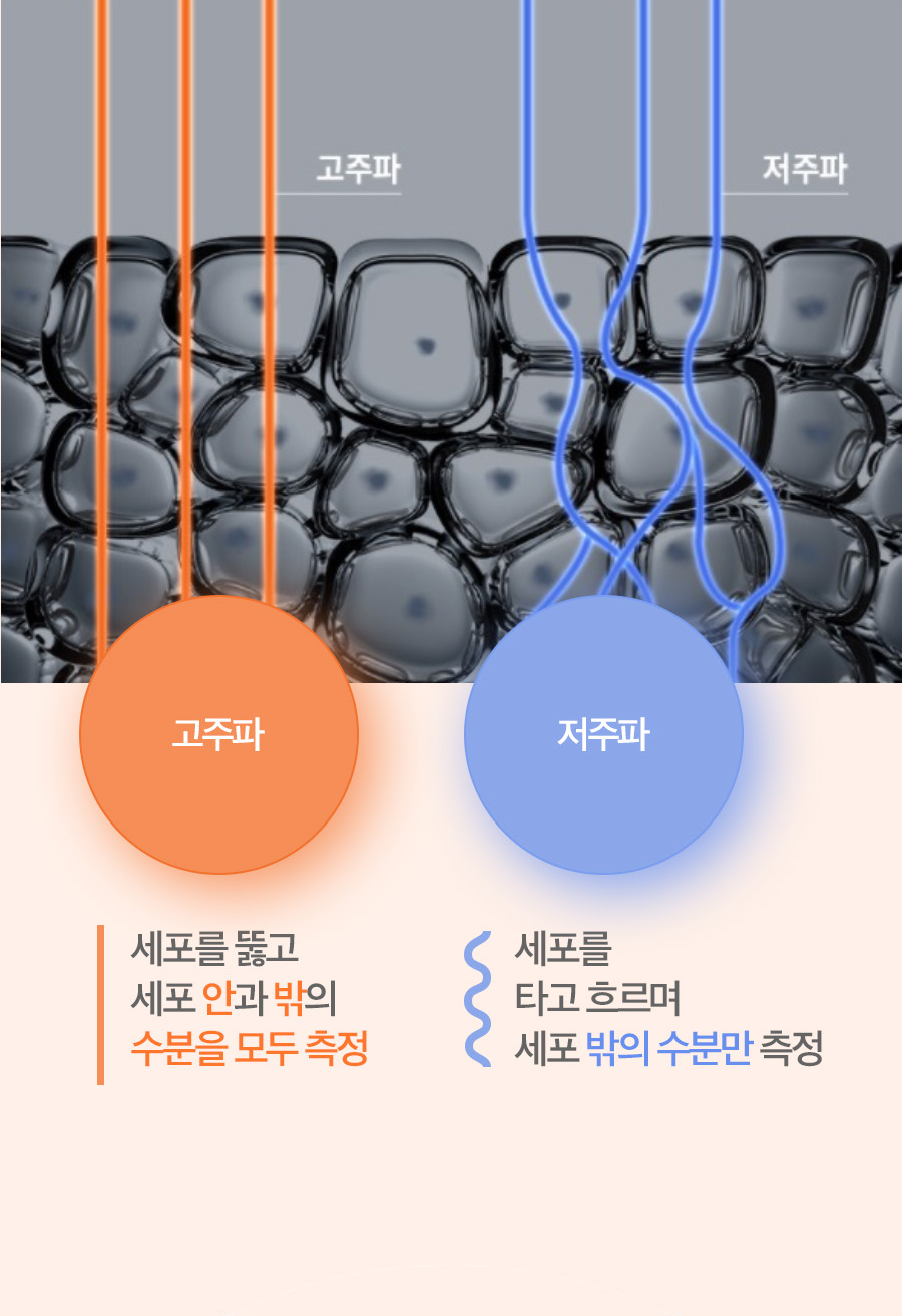 T9_08_03.jpg