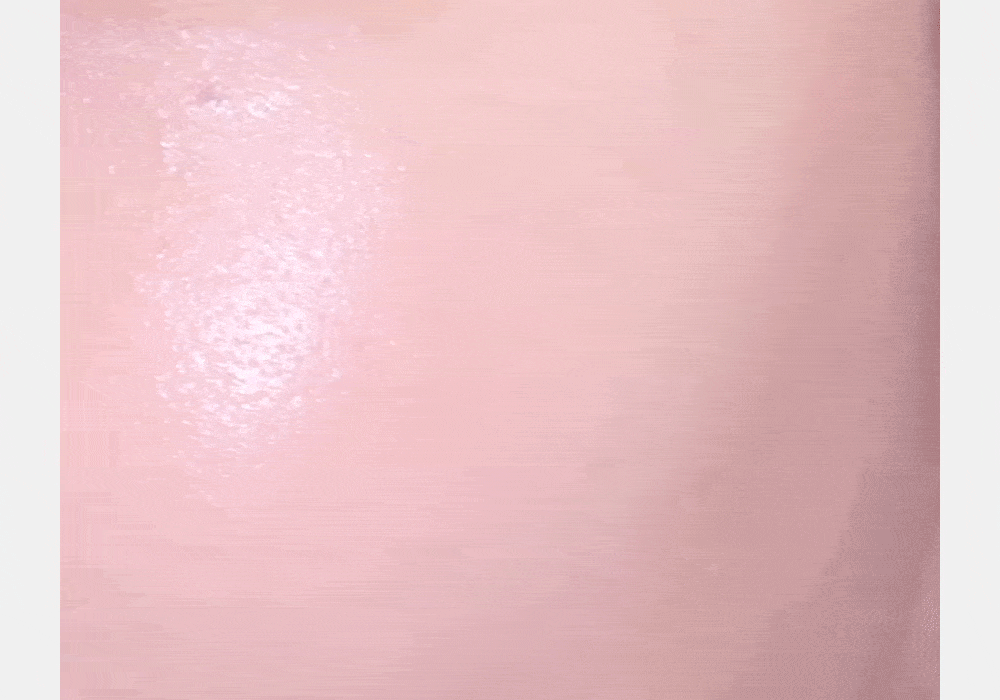 HEV_PDP_SRCC_KR_02_02.gif