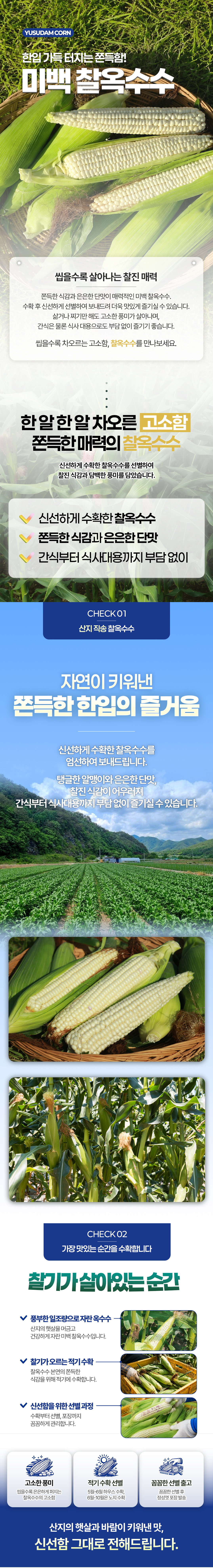 2026_찰옥수수_상세페이지_01.jpg