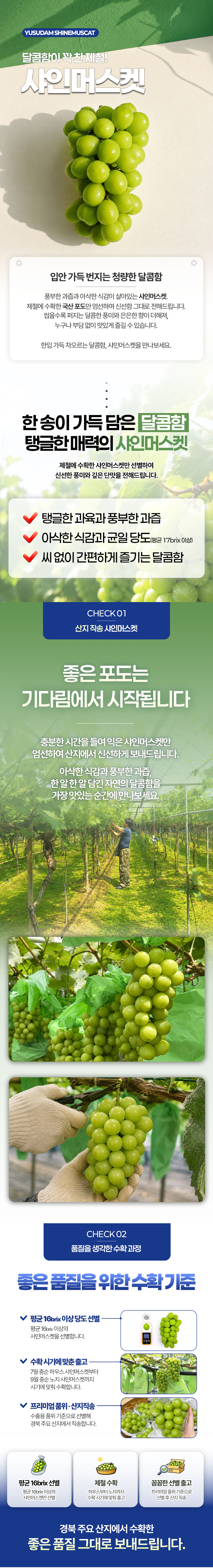 2026_샤인머스켓_상세페이지_01.jpg