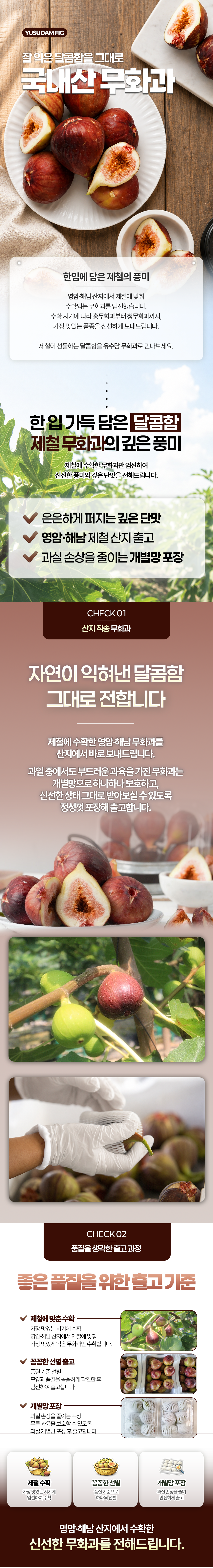 2026_무화과_상세페이지_01.png