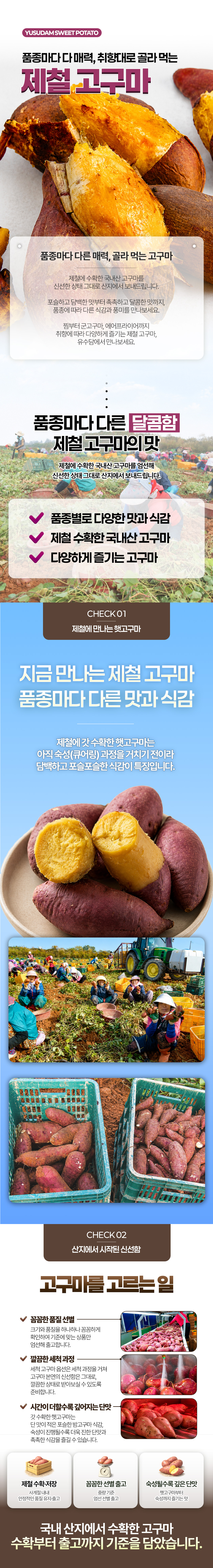 2026_고구마_상세페이지_01.jpg