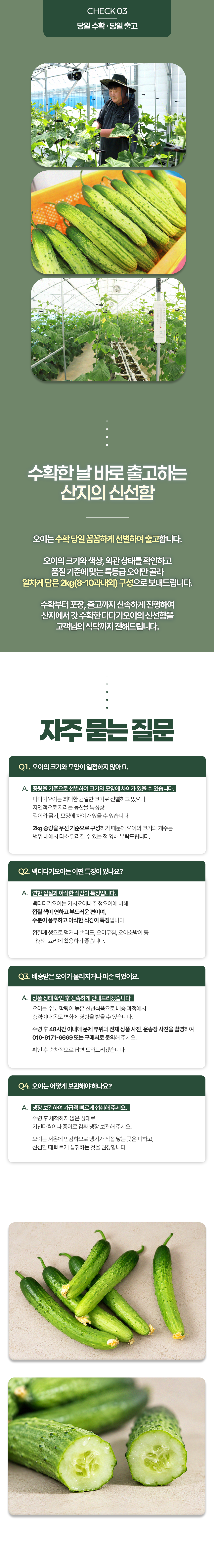 2026_다다기오이_상세페이지_02.png