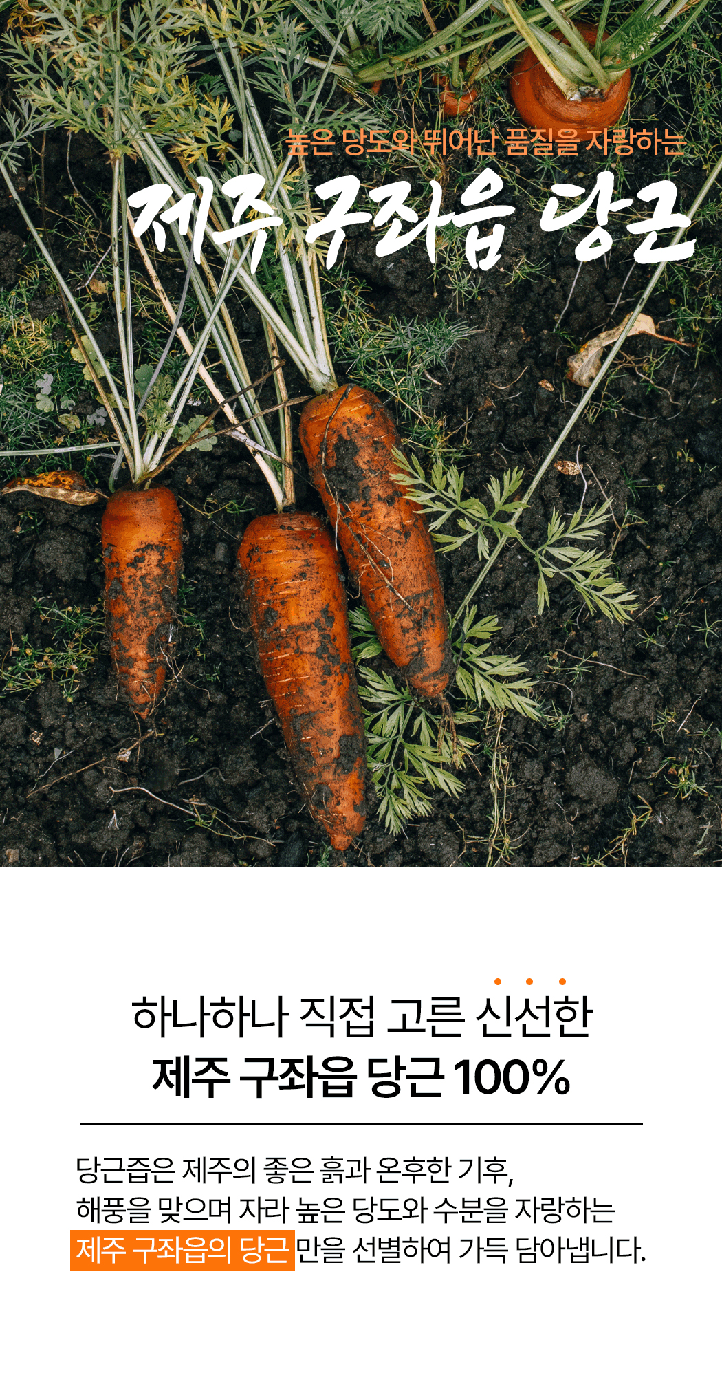 carrot_04.jpg