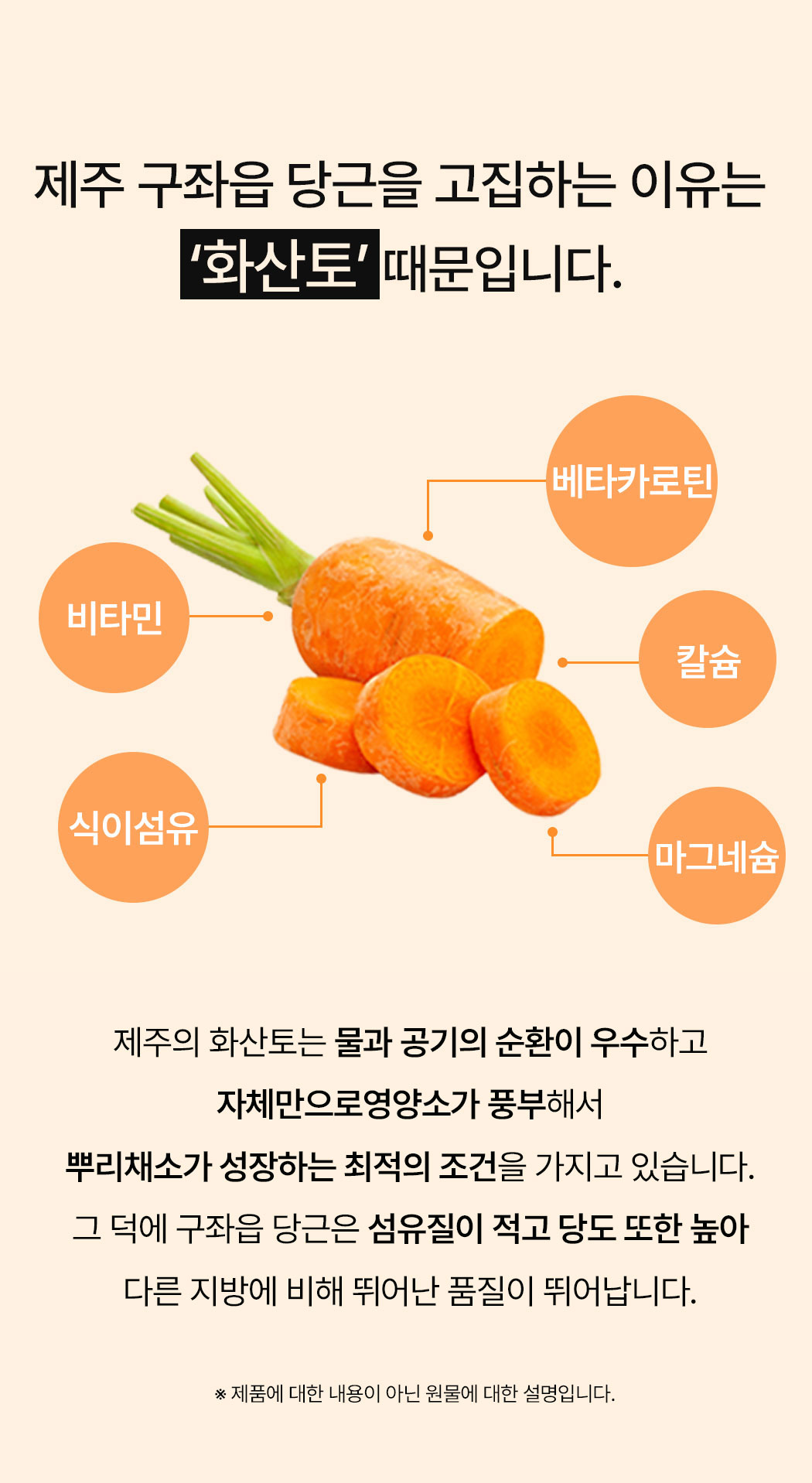 carrot_05.jpg