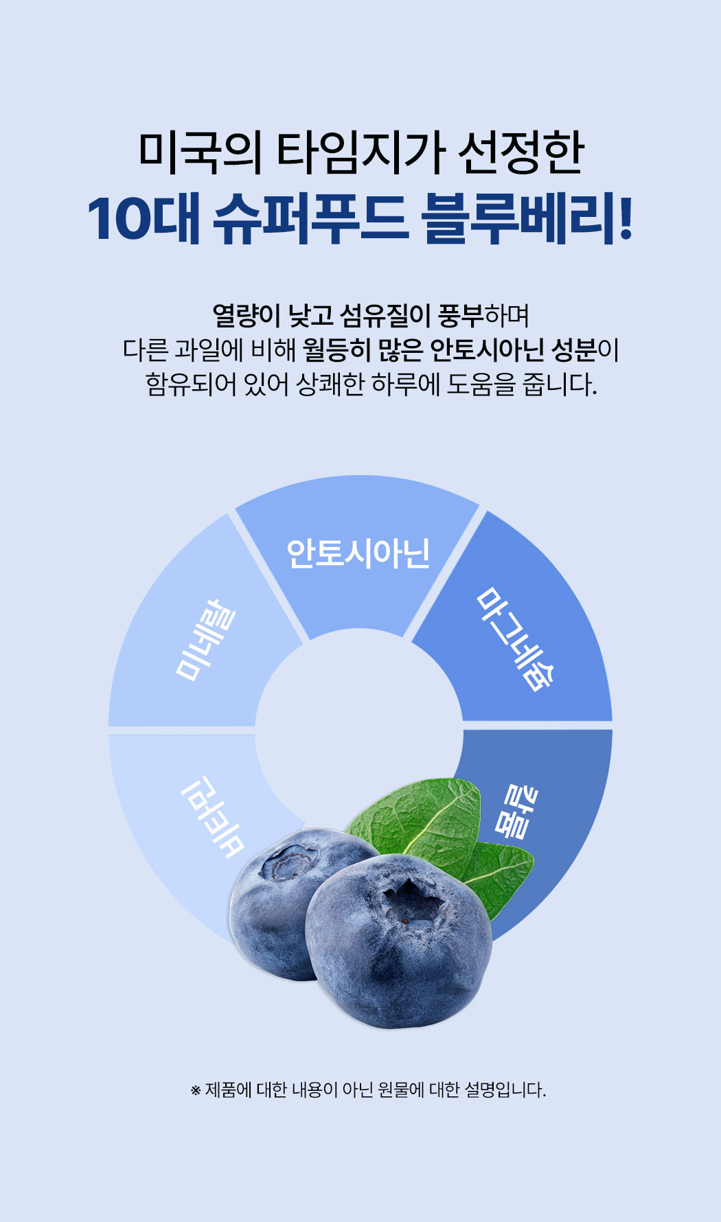 blueberry_05.jpg