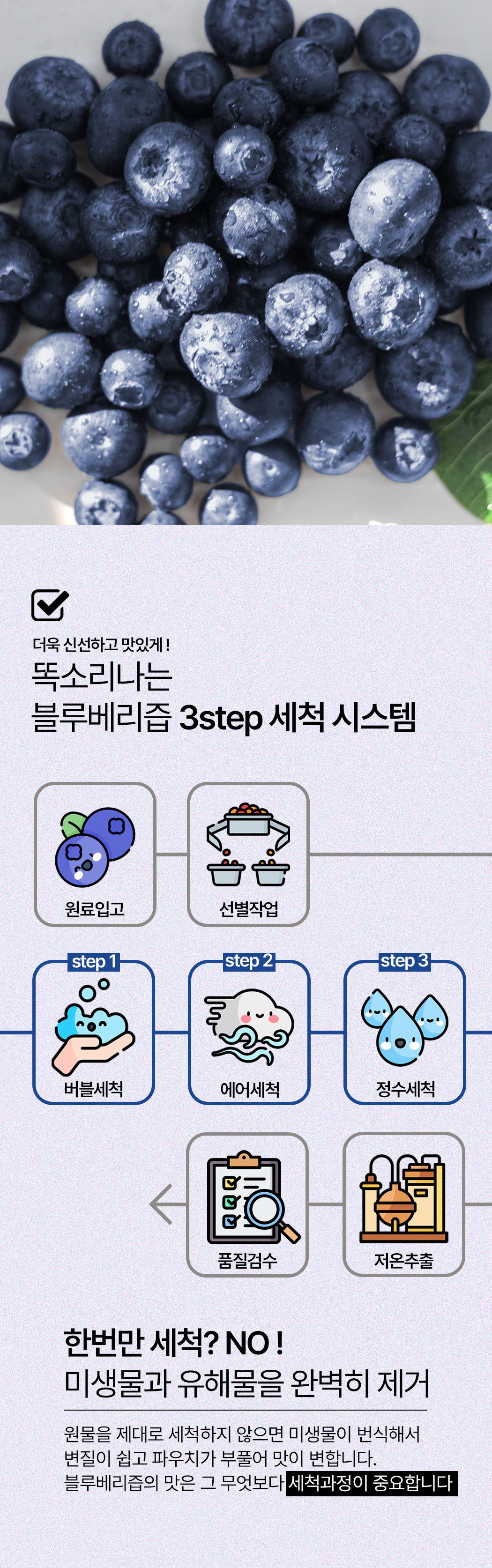 blueberry_09.jpg