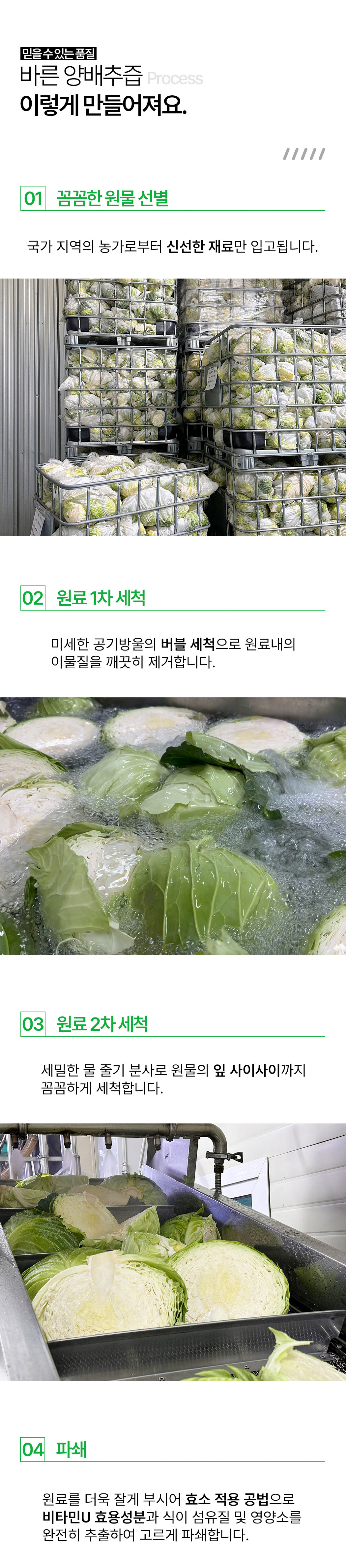cabbage_07.jpg