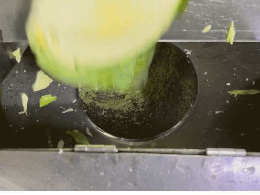 cabbage_08g.gif