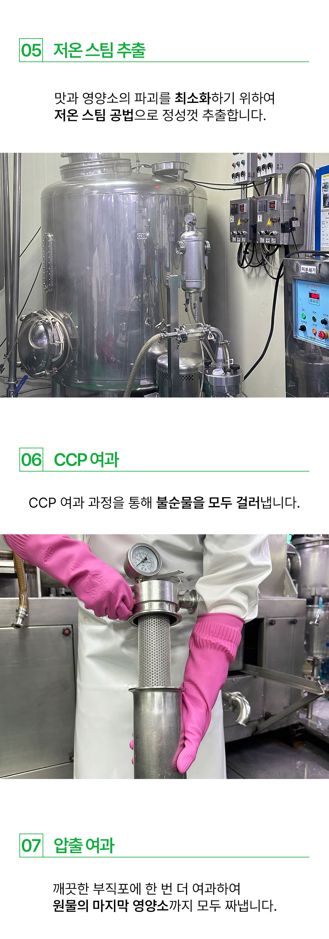 cabbage_09.jpg