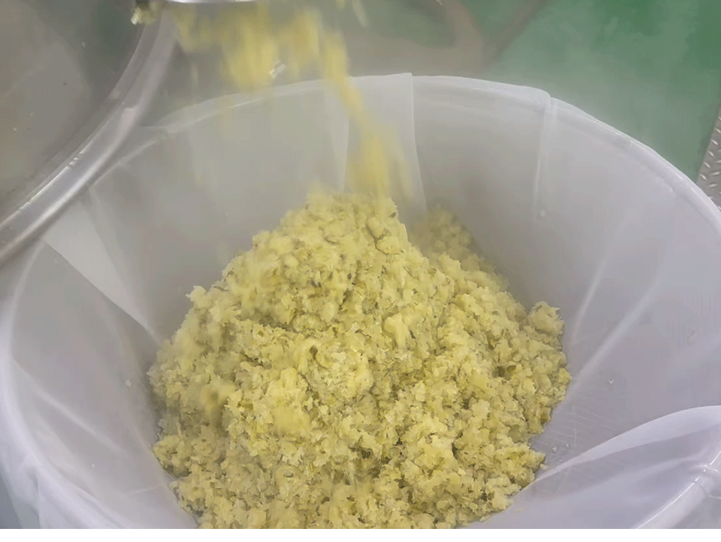 cabbage_09g.gif