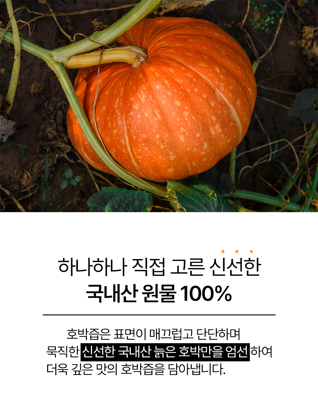 pumpkin_06.jpg