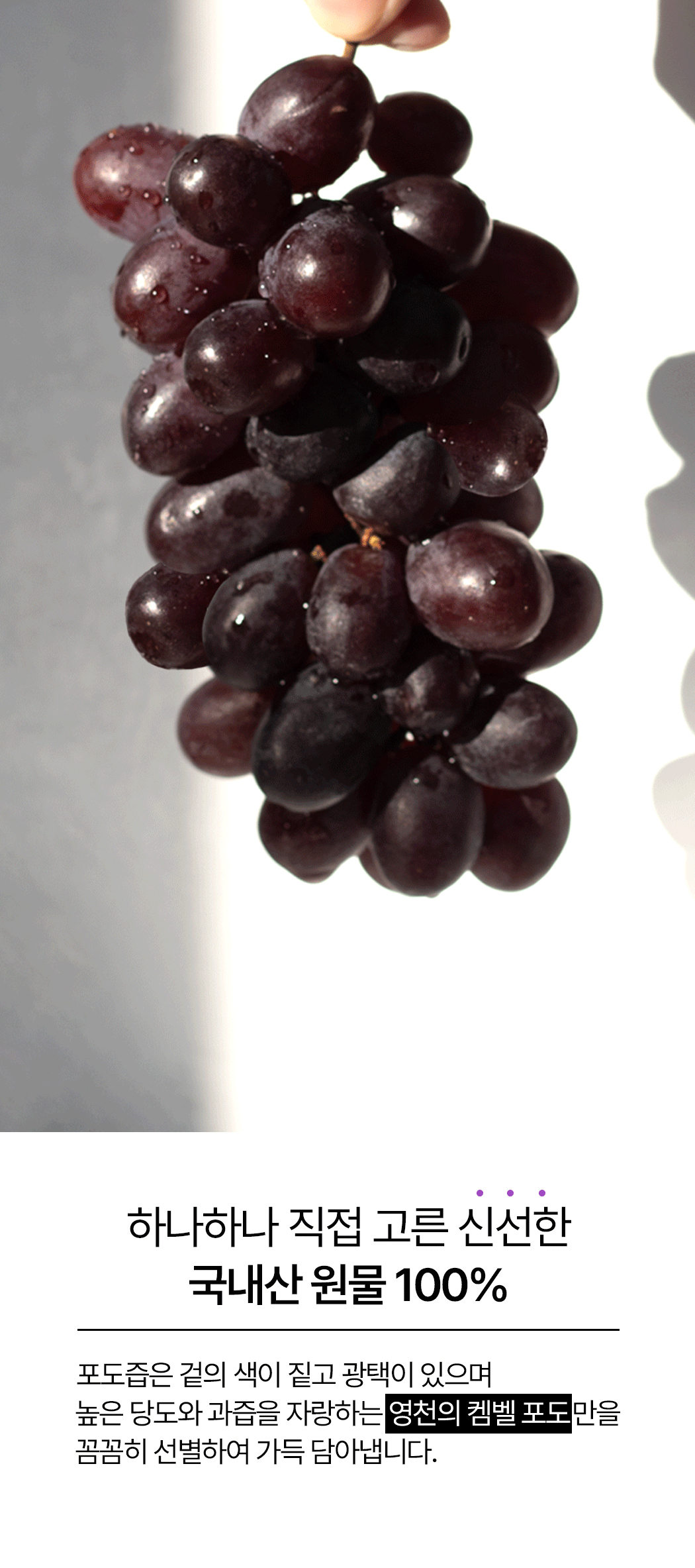 grape_06.jpg