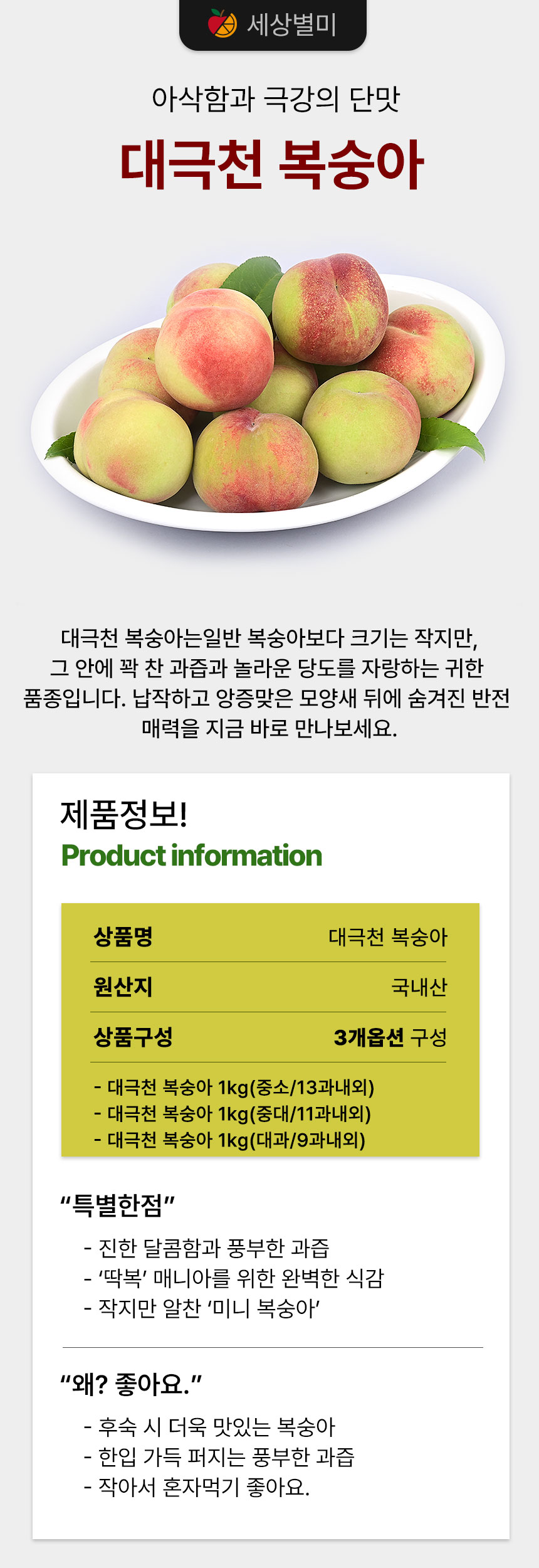 01_인트로_01.jpg