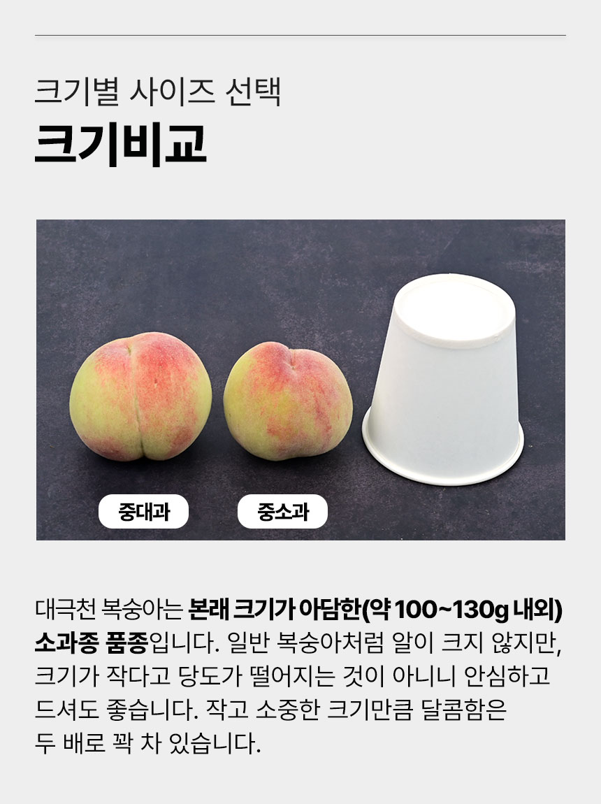 04_기타_사이즈비교.jpg