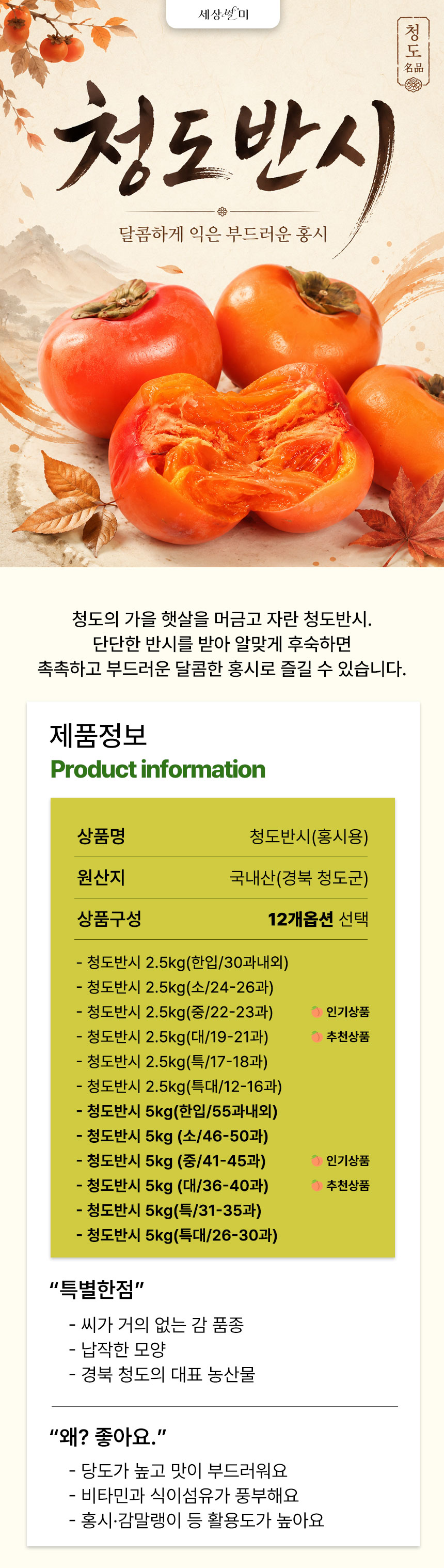 01_인트로_01.jpg