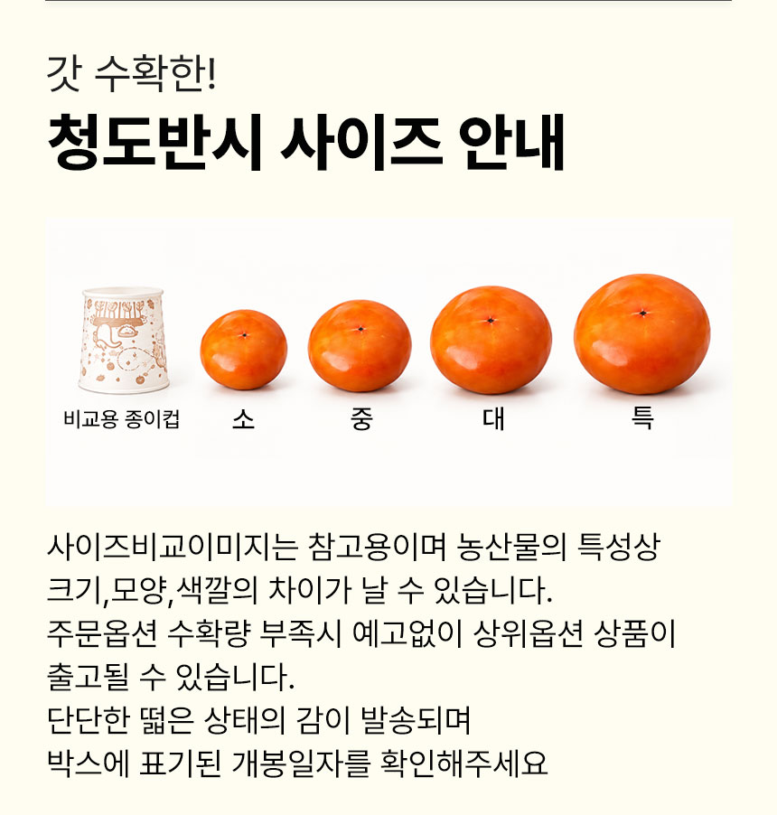 03_상세_point06사이즈안내.jpg