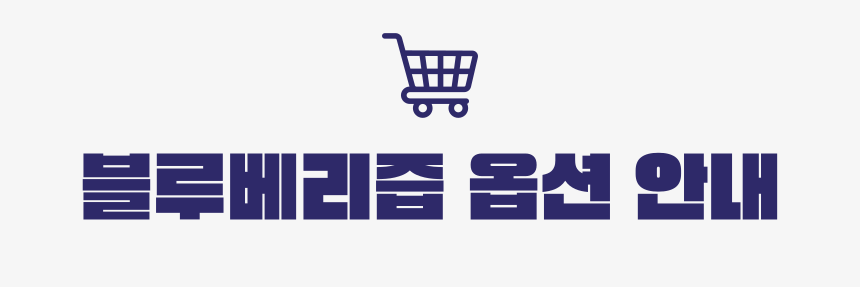 블루베리즙_옵션_배너_타이틀.png