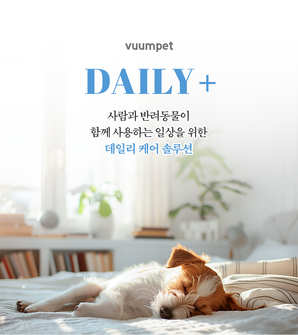 ����_��������_2026��_03.png