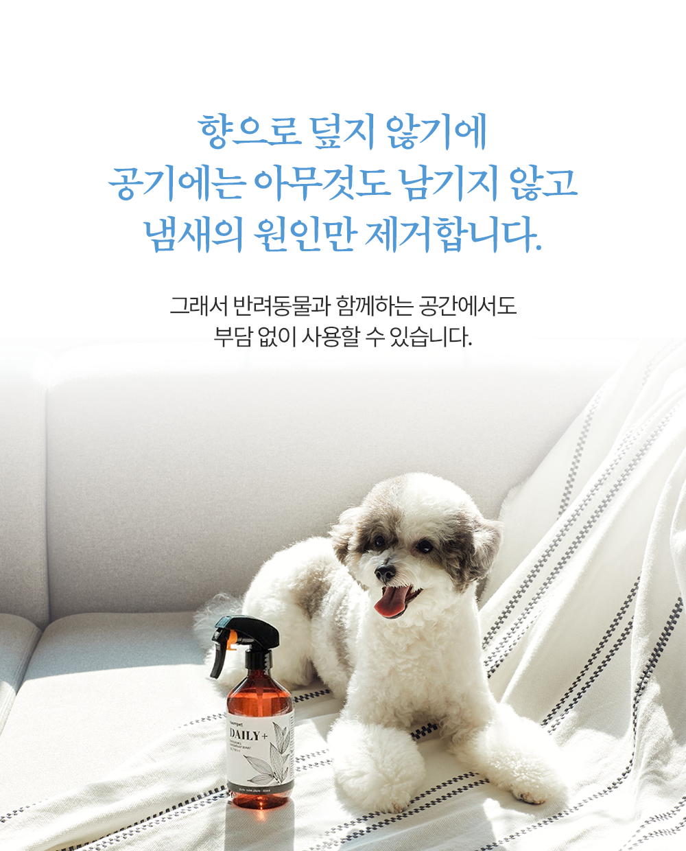 ����_��������_2026��_09.png