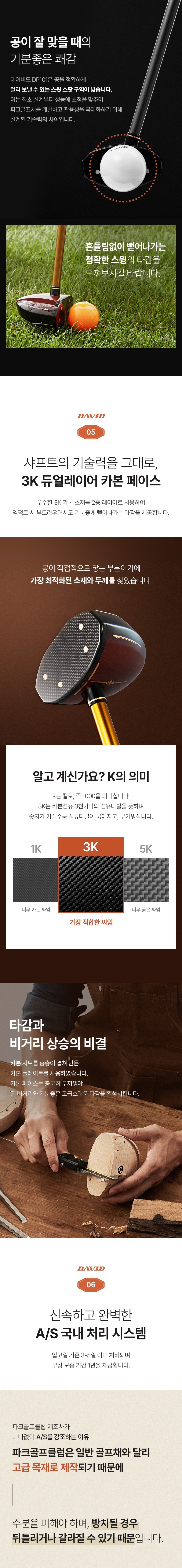 DP101 파크골프채