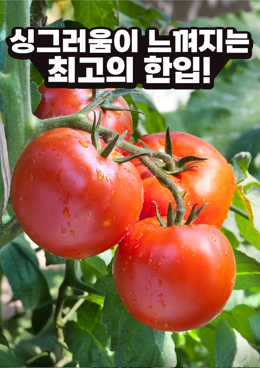 상세_완숙토마토_02.jpg