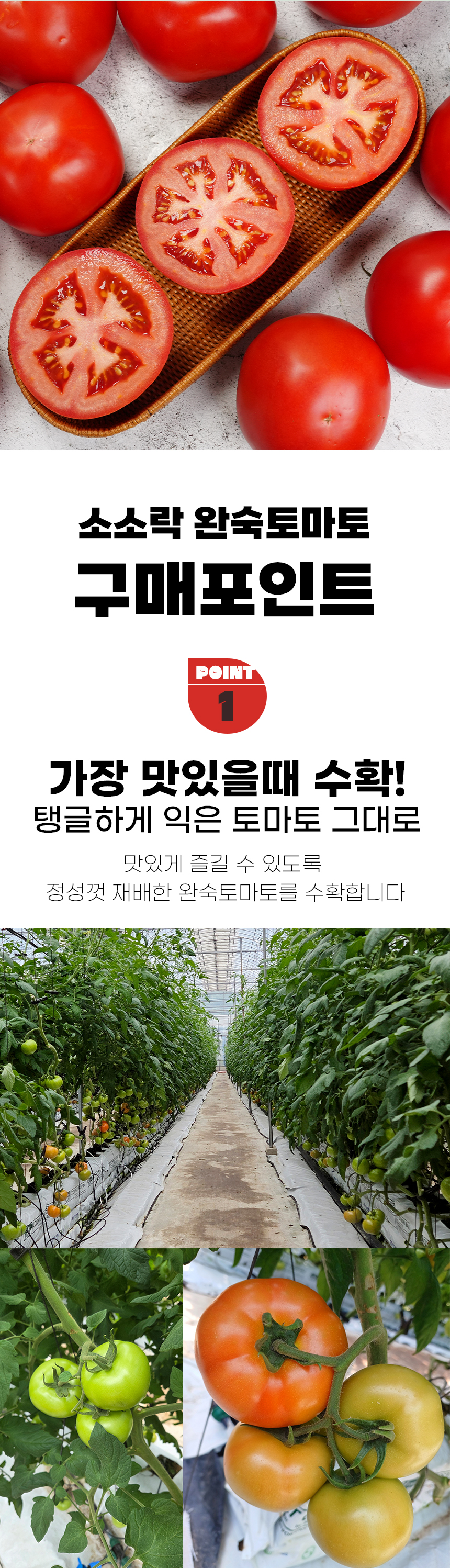 상세_완숙토마토_06.jpg